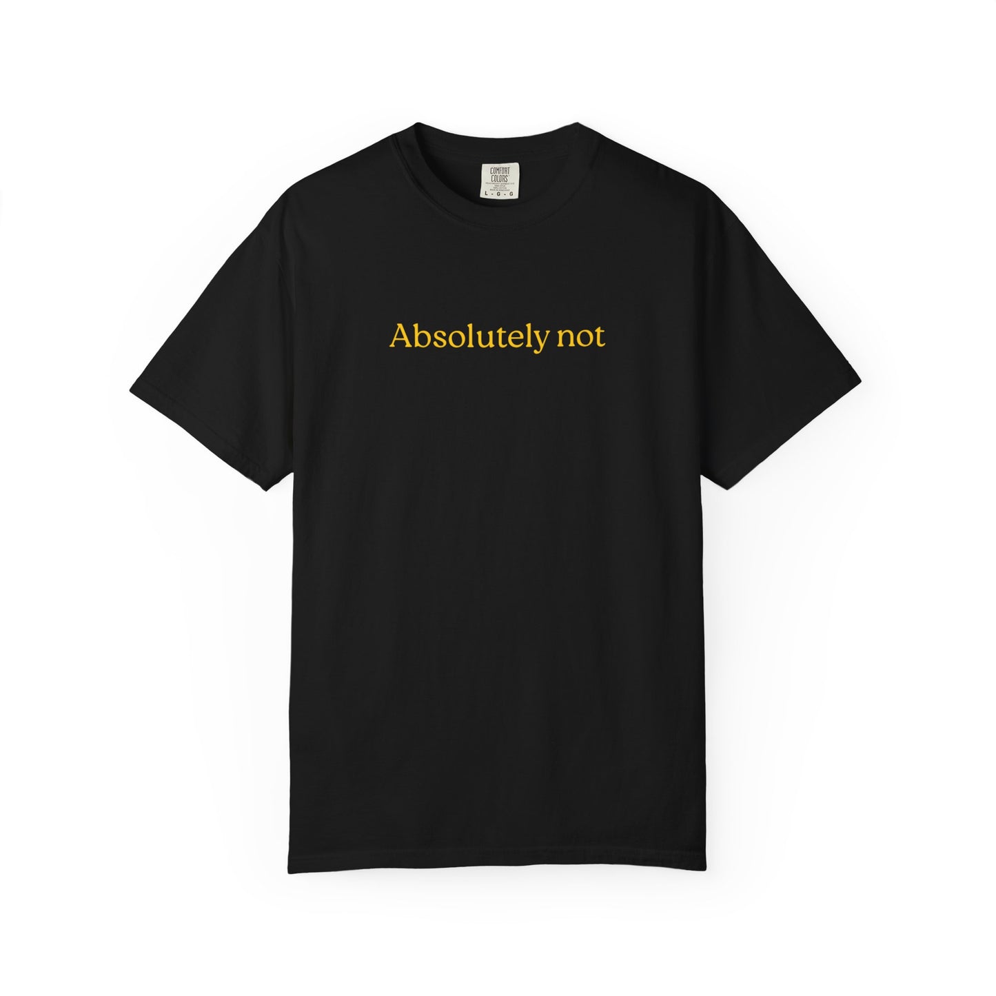US Absolutely Not Unisex Garment-Dyed T-Shirt, Casual Outfit, Humor Tee, Everyday Wear, Gift for Friends, Funny Statement Shirt