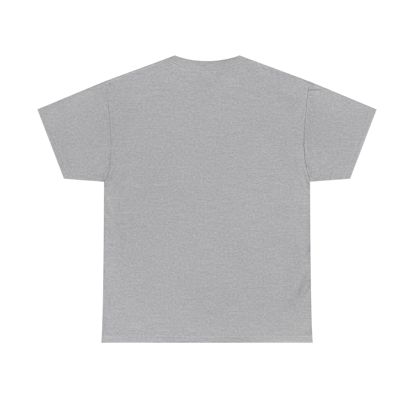 UK 2025 Life Recovery Unisex Heavy Cotton Tee - Motivational Shirt for Resilience, Inspirational Gift, Fitness Journey, Self-Care, [...]